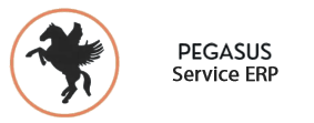 Pegasus Service ERP